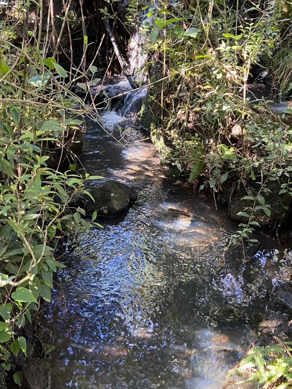 Terrenos em Urubici - a partir R$ 199 mil. - Foto 5