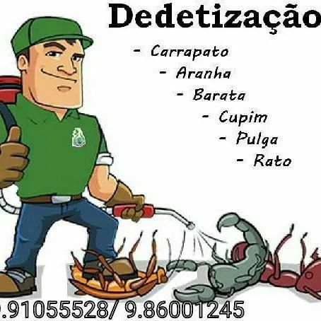 DEDETIZAÇÃO (PROMOÇÃO)