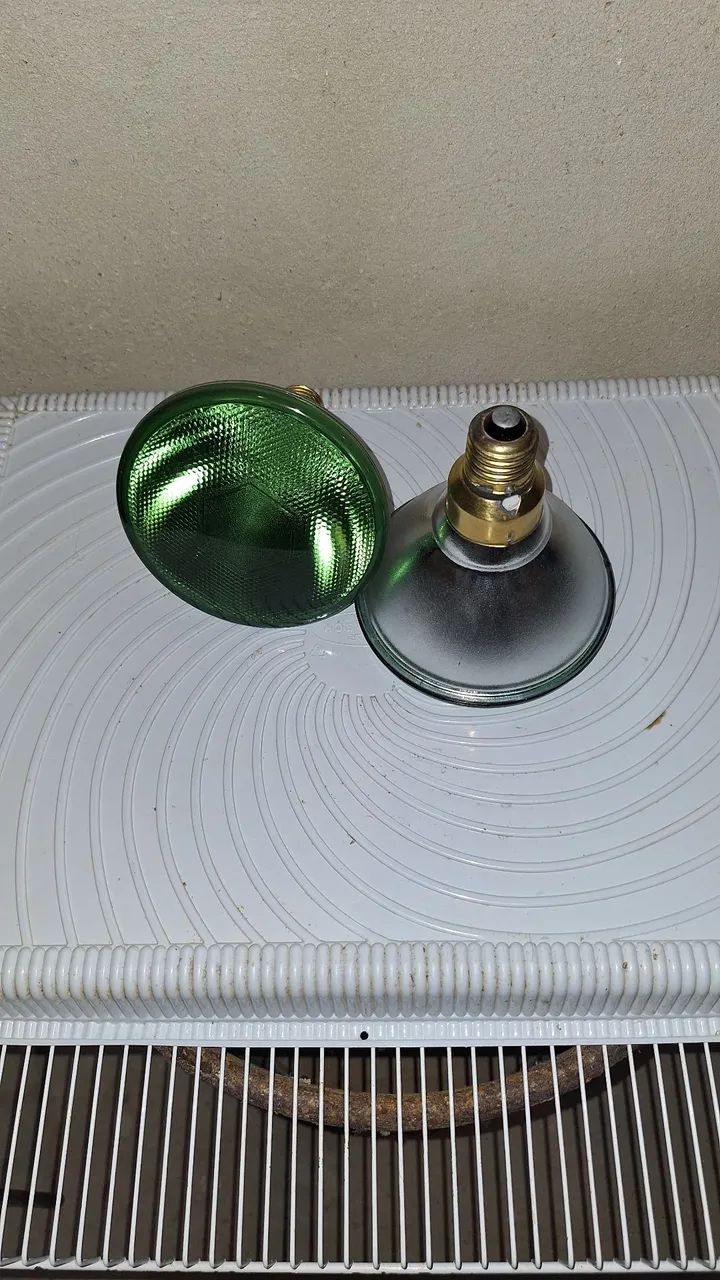 Lâmpadas de aquecimento para aves