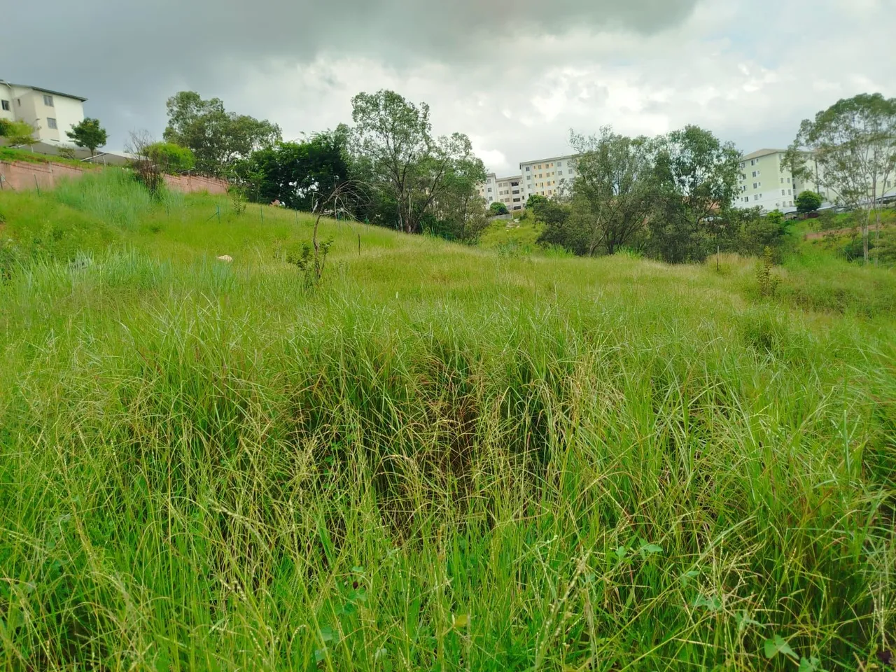 Lote 800 metros ribeiro de abreu Belo Horizonte