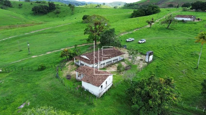 Fazenda totalmente mecanizada de 226 hectares com excelente topografia em São José da Laje - Foto 3