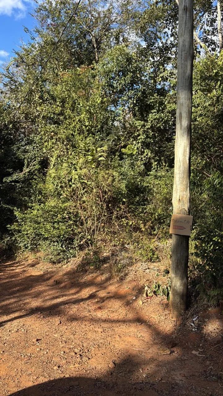 CHÁCARA EM BRUMADINHO  ESTRADA DE SUZANO!!! - Foto 3