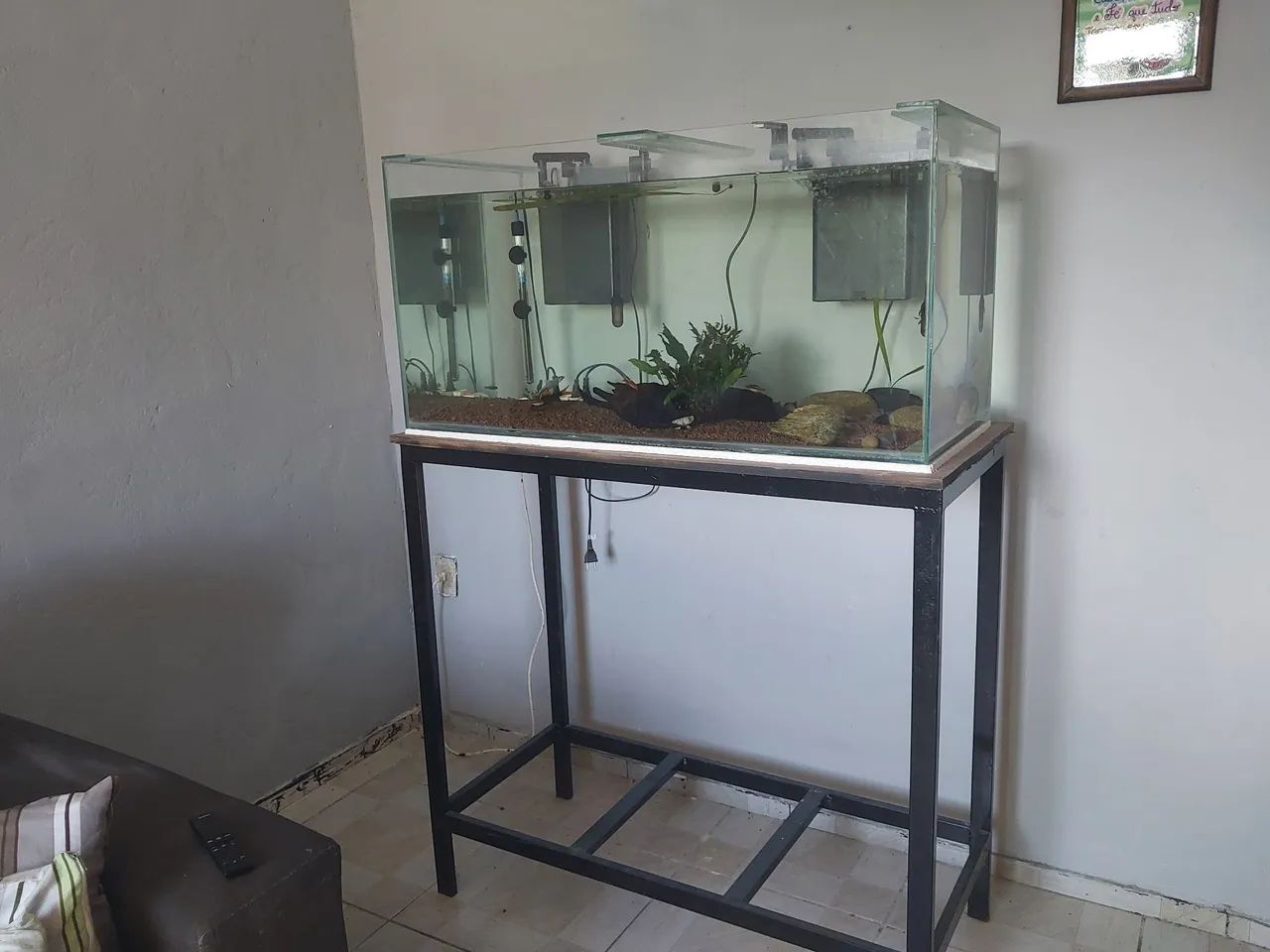 Aquário  - Foto 2