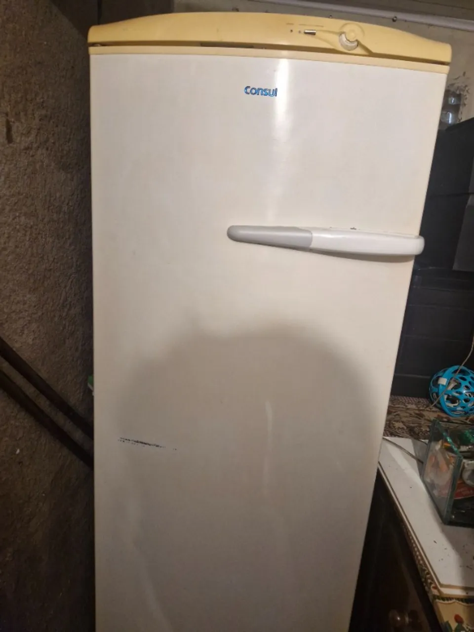 Freezer Vertical