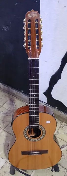 Viola Rozini profissional elétrica  na Musical Brother 