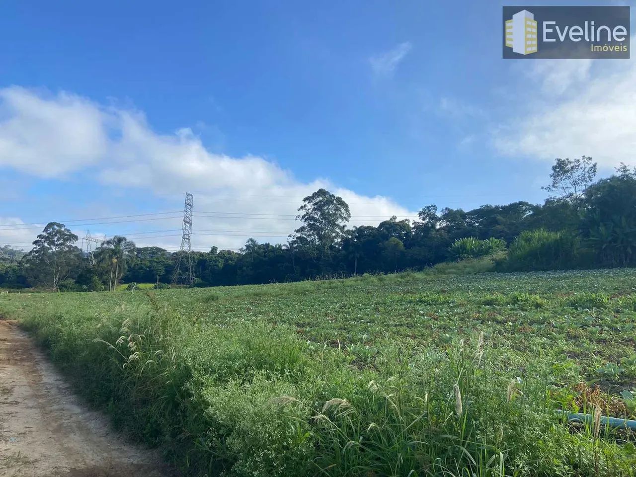 Terreno, Parque Santa Rosa, Suzano - R$ 11.6 mi, Cod: 3796 - Foto 5