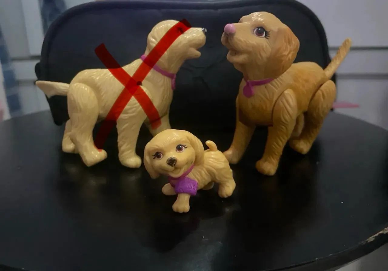 Cachorro Barbie piscina 