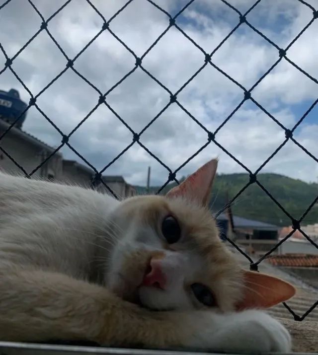 redes de proteção