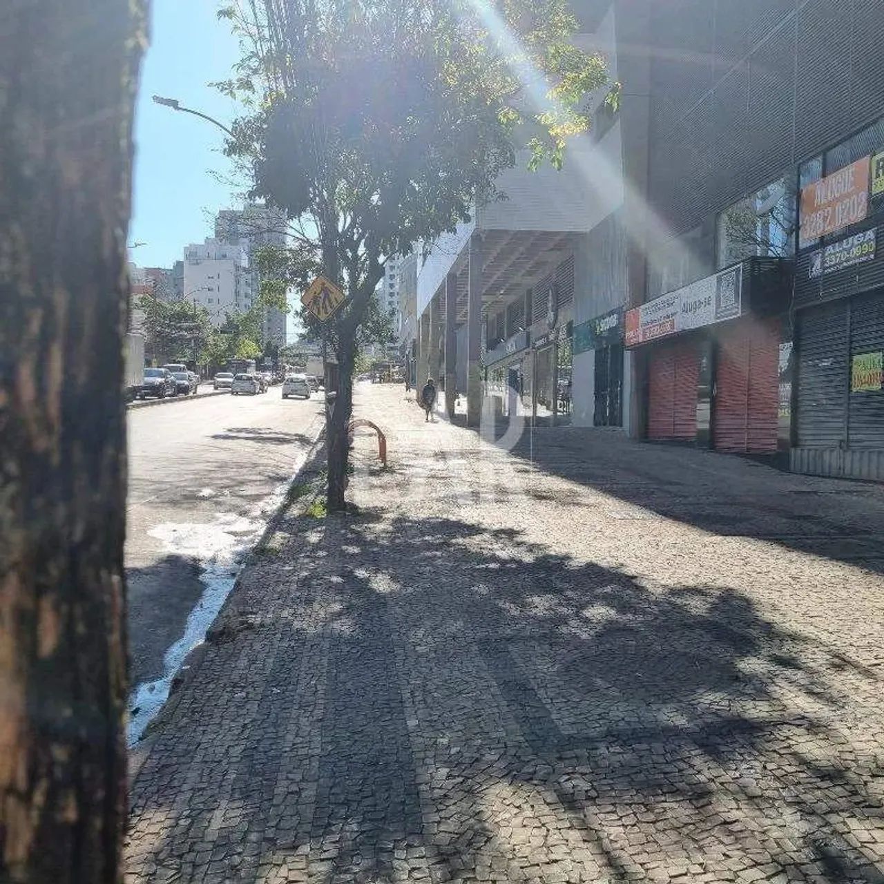 Comercial - Loja à venda, Belvedere - Belo Horizonte/MG - Foto 2