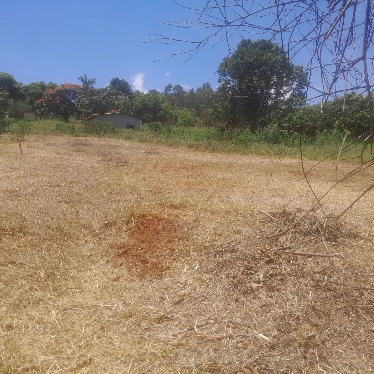 Terreno com área verde em ótima localização