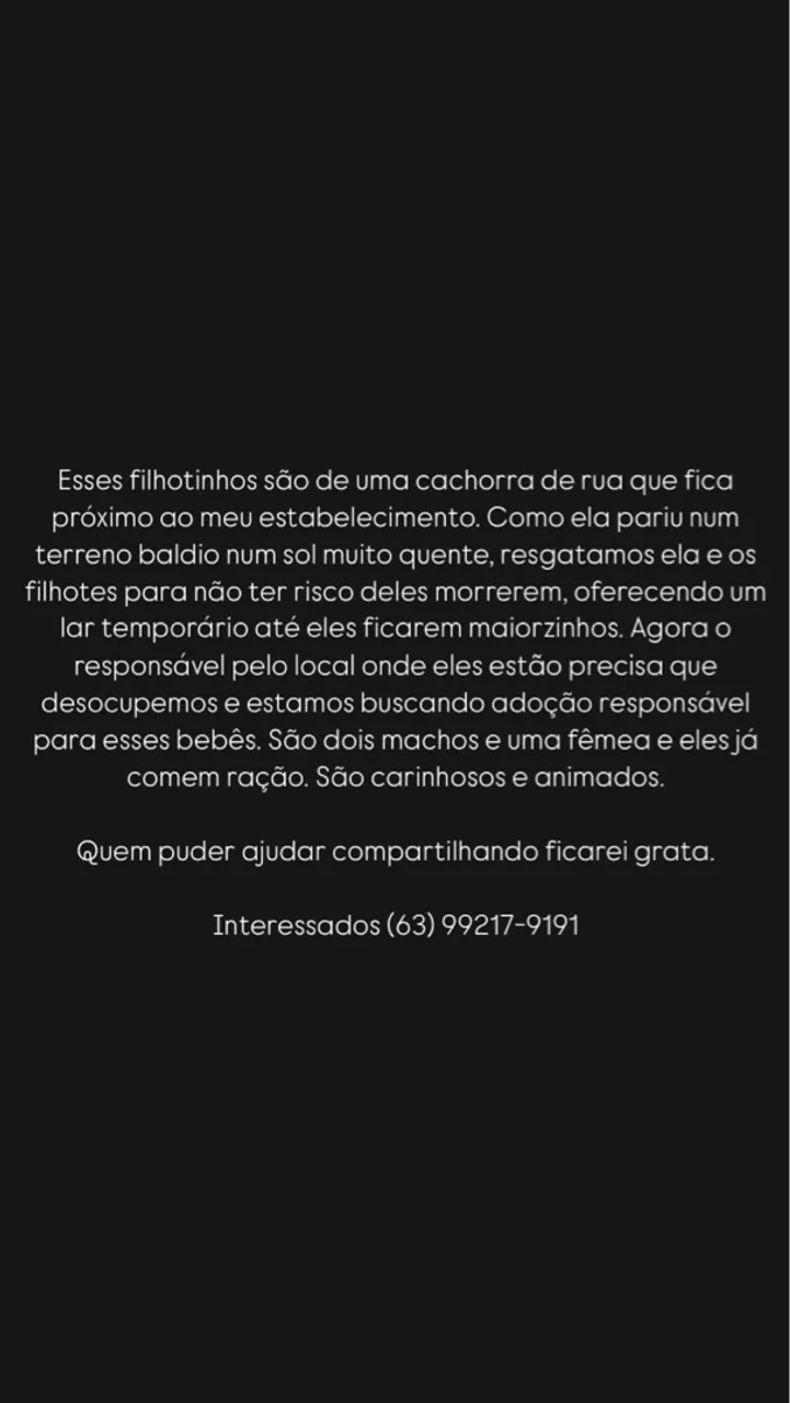 Filhotes para adoção responsável