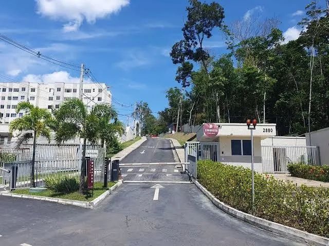 Foto - Manaus - Coroado