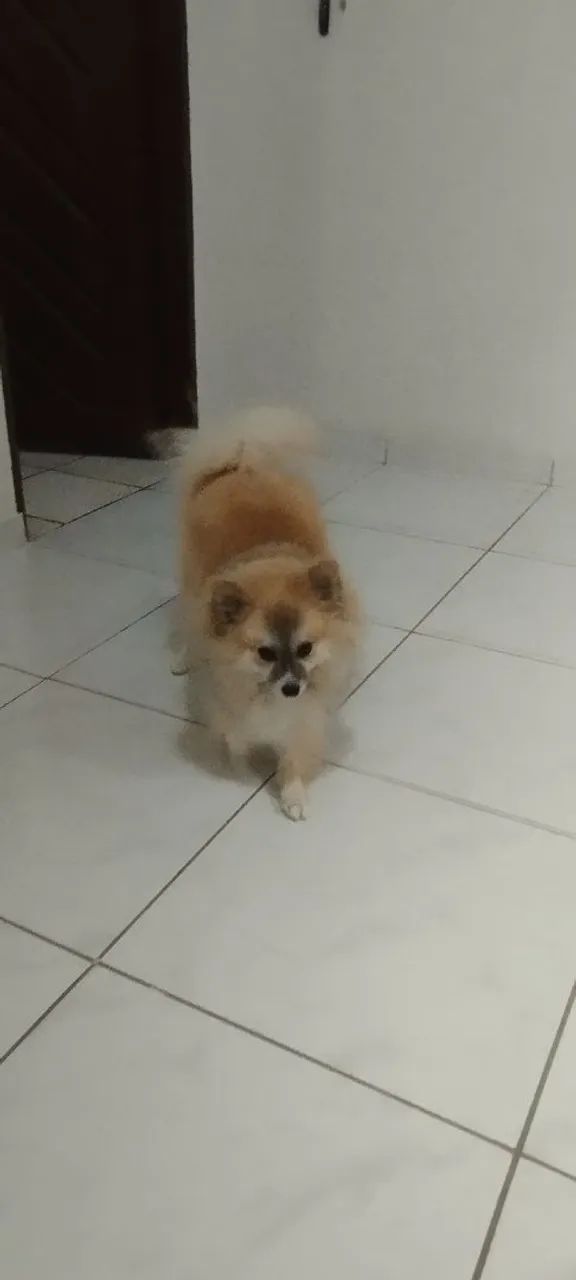 Estou a procura namorada 