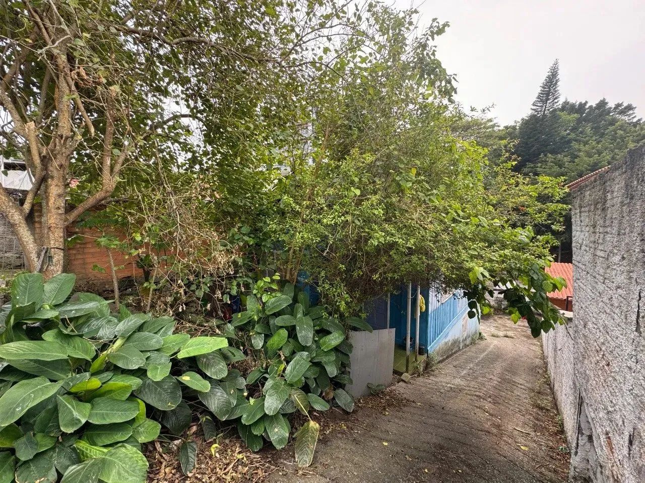 Terreno com 200m² em Coqueiros - Foto 4