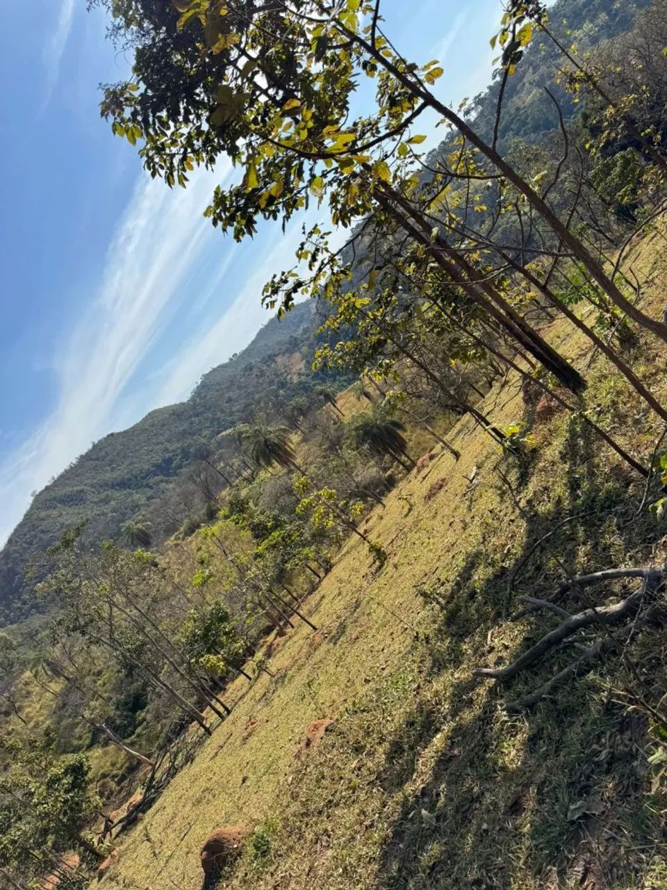 Terreno de 27 mil metros em azurita  - Foto 4