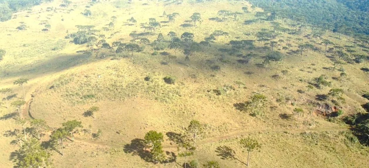 Fazenda em São Joaquim- Serra Catarinense- 182 hectares - Foto 4