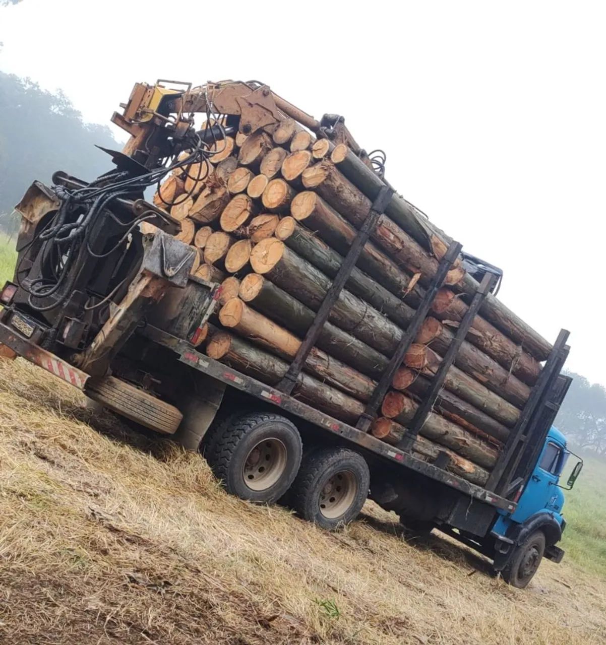 MB 2220 6x4 GRUA FLORESTAL. 