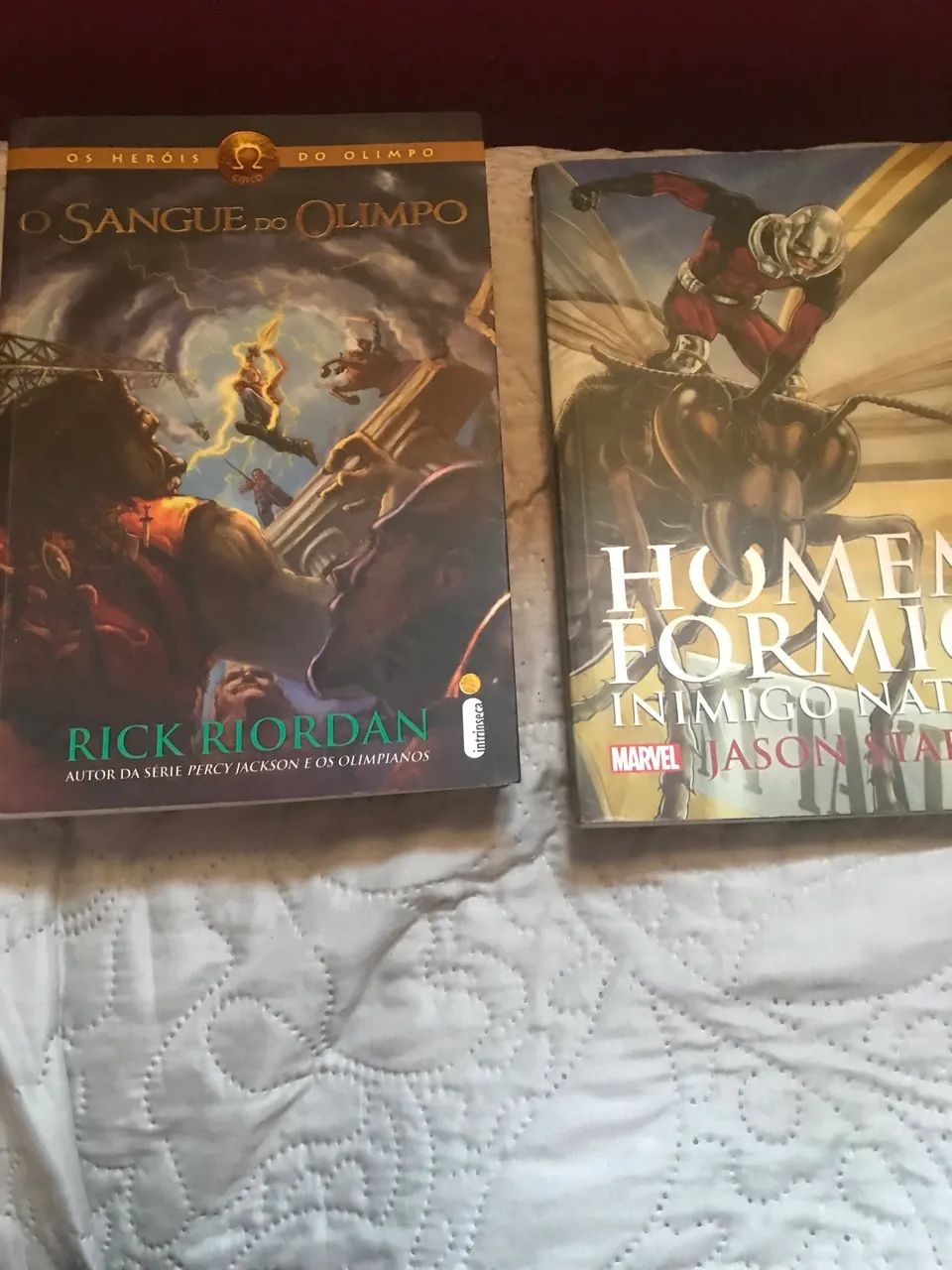 Livros homem formiga e sangue do olimpo - Foto 3