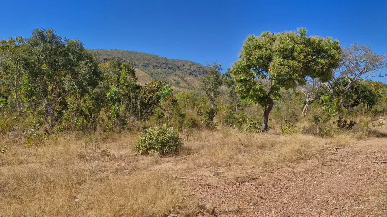 Fazenda Primavera - Foto 2