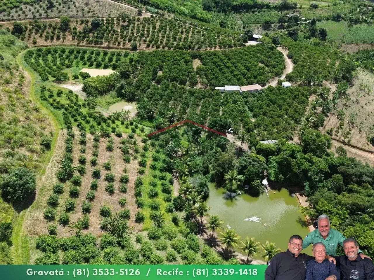 Sítio 8,1 ha à Venda em Chã Grande/PE - Foto 4