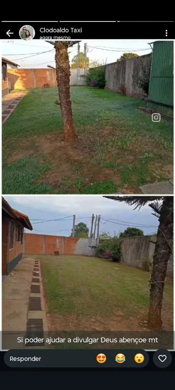Jardinagem 