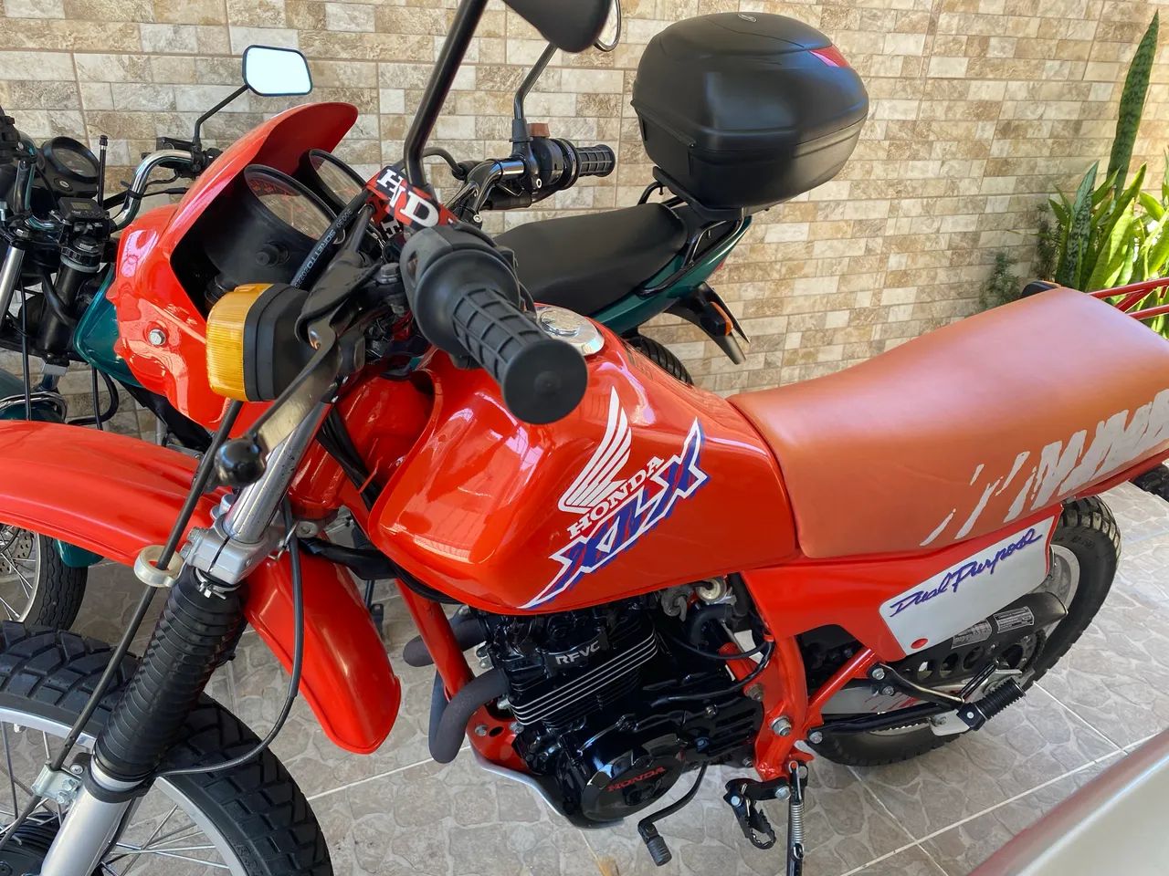 XLX 250 Impecável 