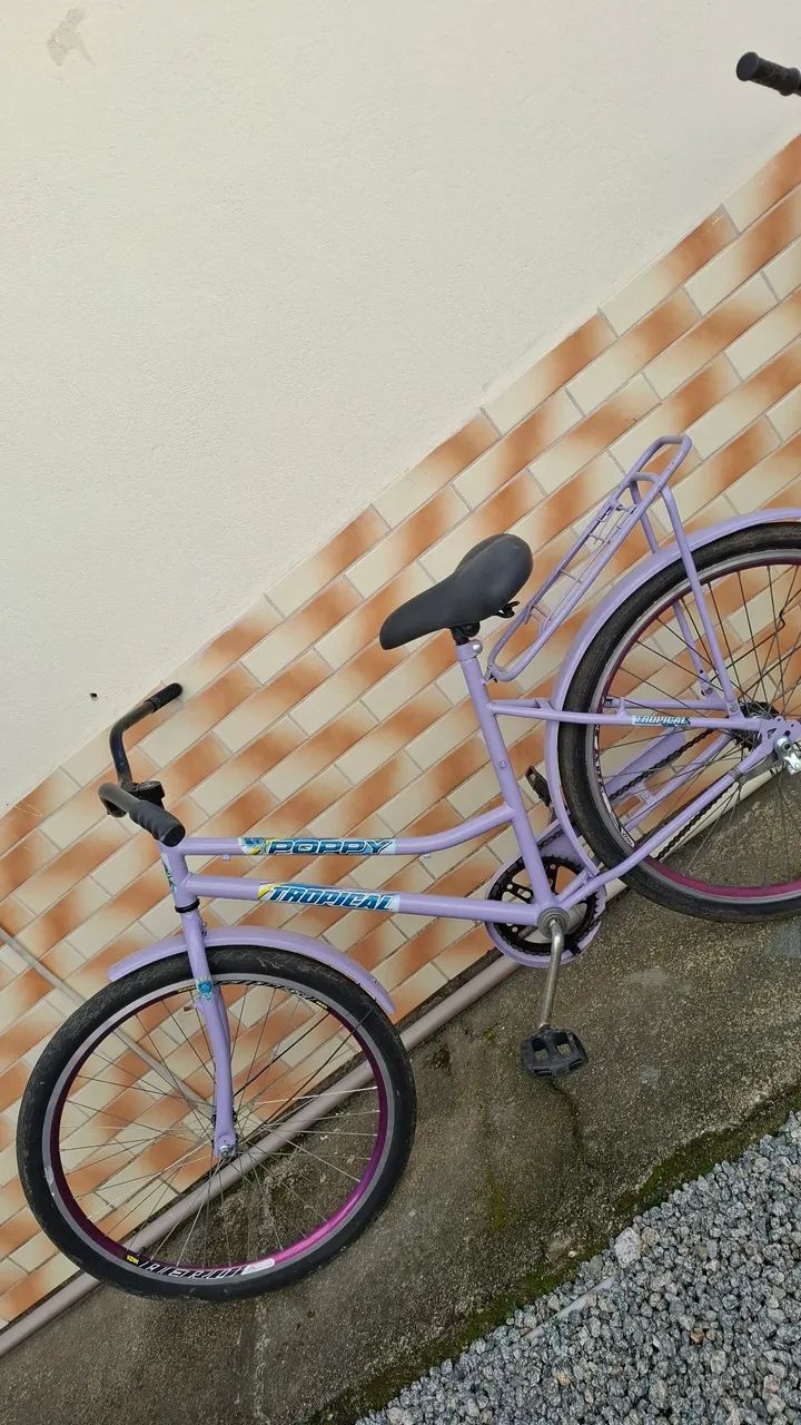 Bicicleta lilás 