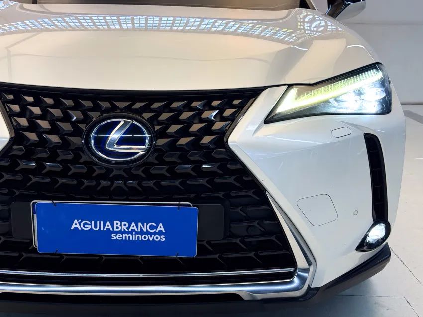 Lexus UX-250h Luxury 2.0 16V Aut.(hybrid), foto 4 de 19