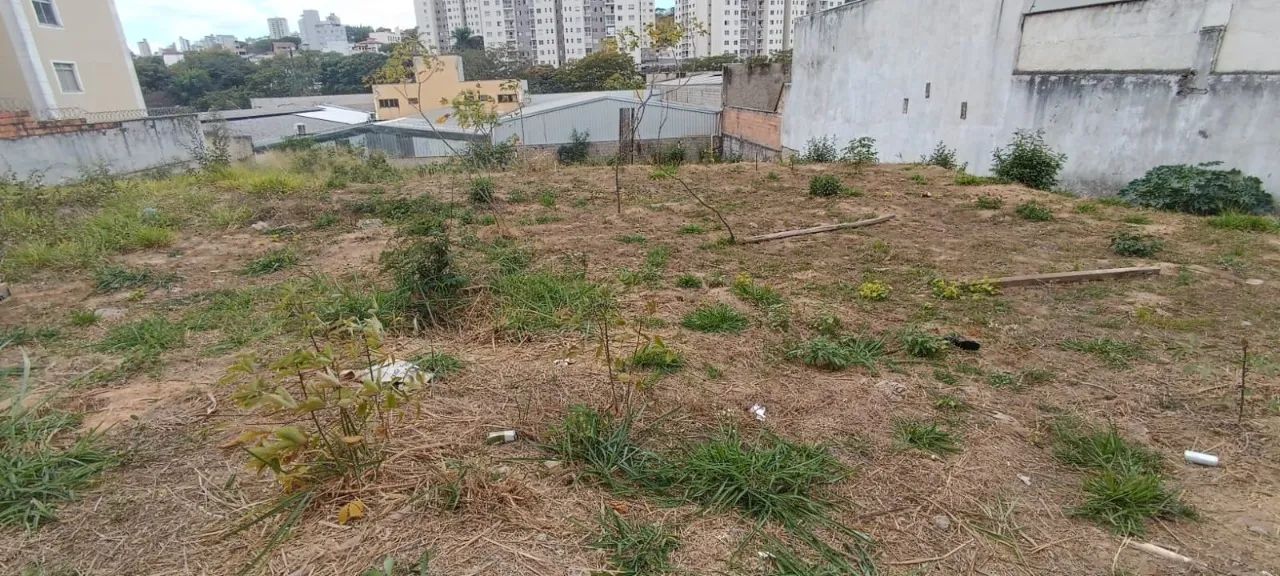Lote,0 Dormitorio(s) bairro Castelo - Foto 5