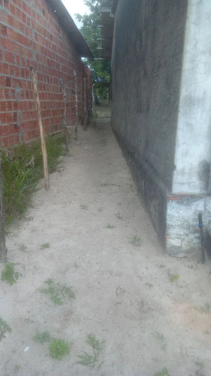 Limpeza - Foto 2