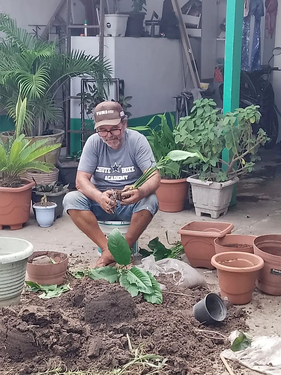 PLANTAS SERVÇOS E JADINAGENS - Foto 4