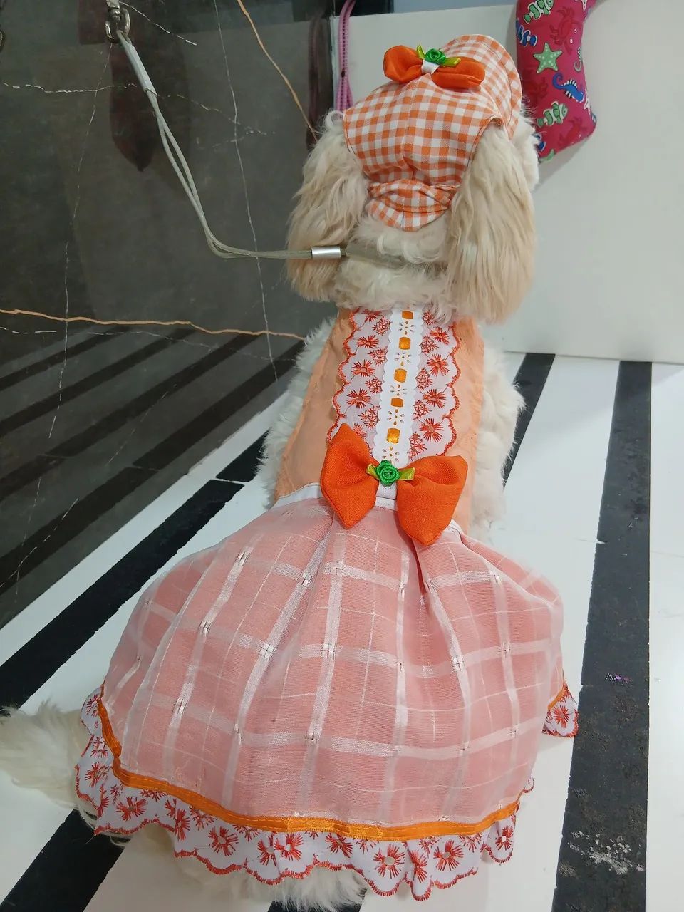 Roupas pets - Foto 5