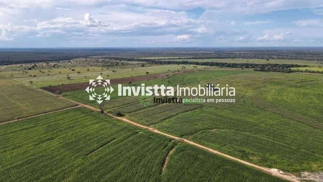 Fazenda de 447 alqueires com dupla aptidão em Palmeirante - Foto 5