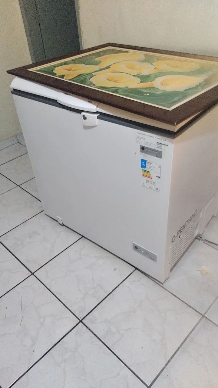 Freezer consul 220v