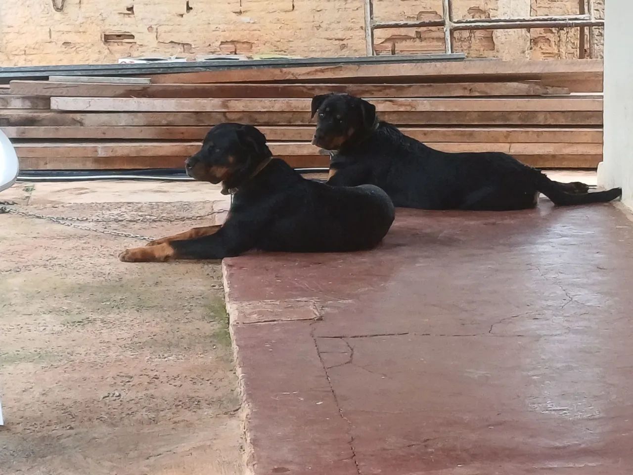 Vende  - Foto 2