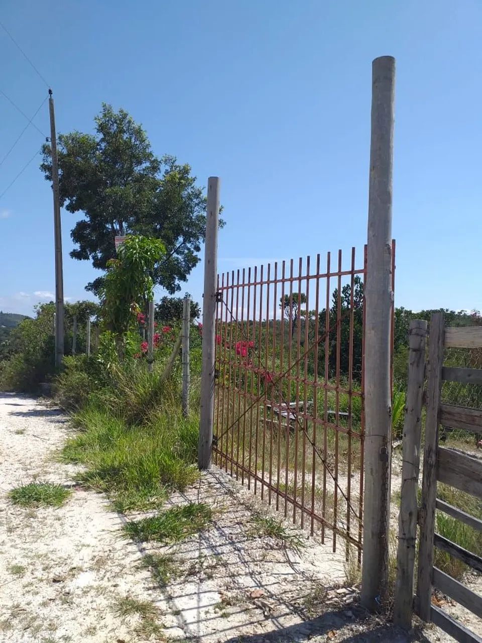Vendo sitio em (Canaã) Ravena! - Foto 4