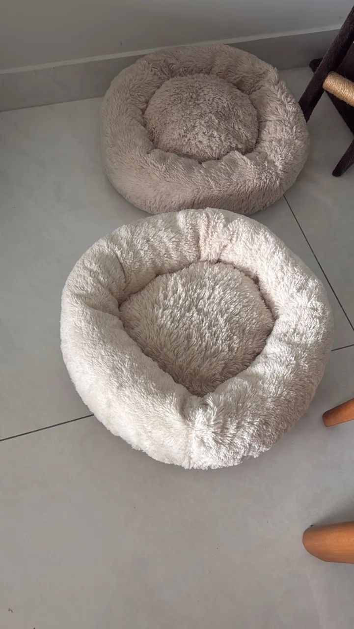 Pet acessório 