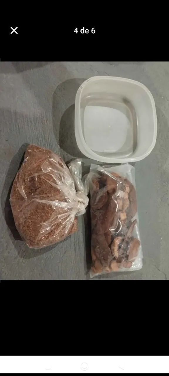 Kit para roedores  - Foto 4