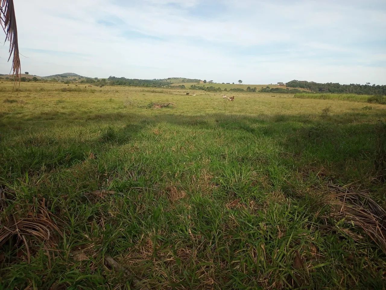 Fazenda 45 Alqueires guarapari 