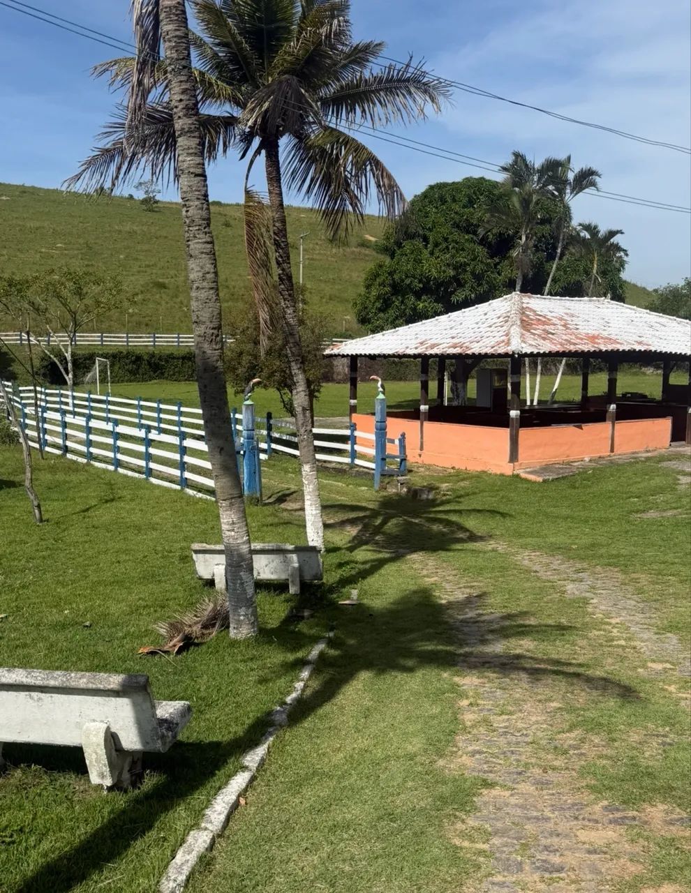 Sítio  - Foto 5