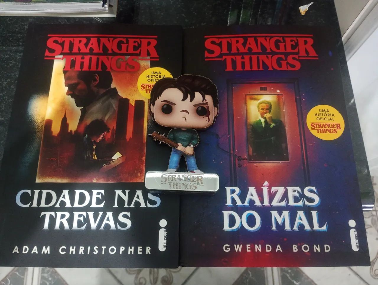 LIVROS STRANGER THINGS 