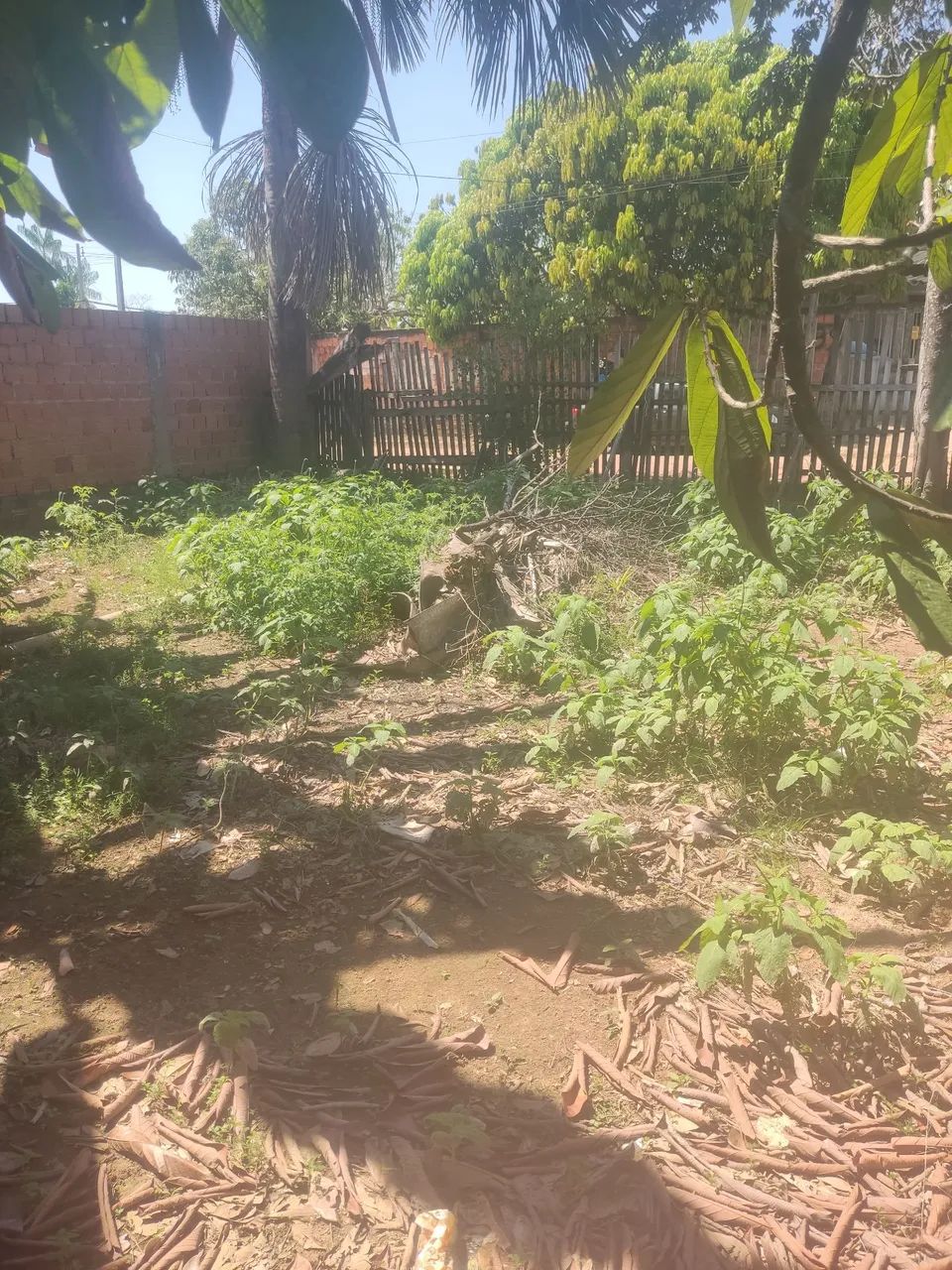 Casa com terreno  - Foto 4