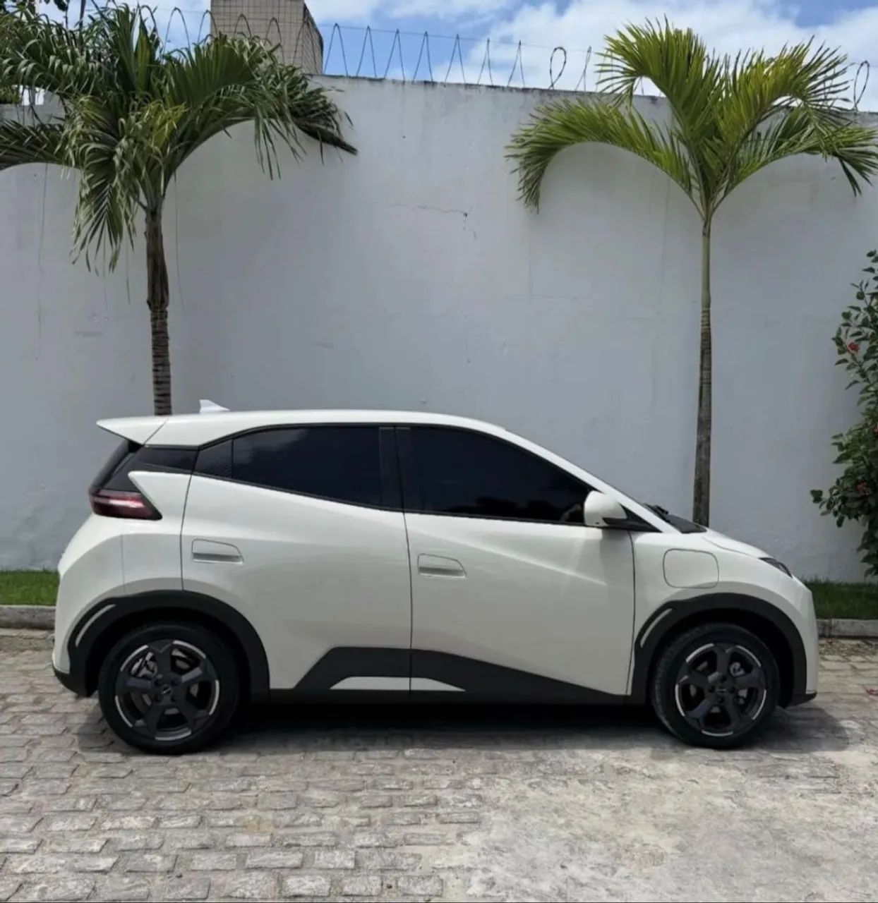 BYD Dolphin Mini (Elétrico) 2025 - Foto 2