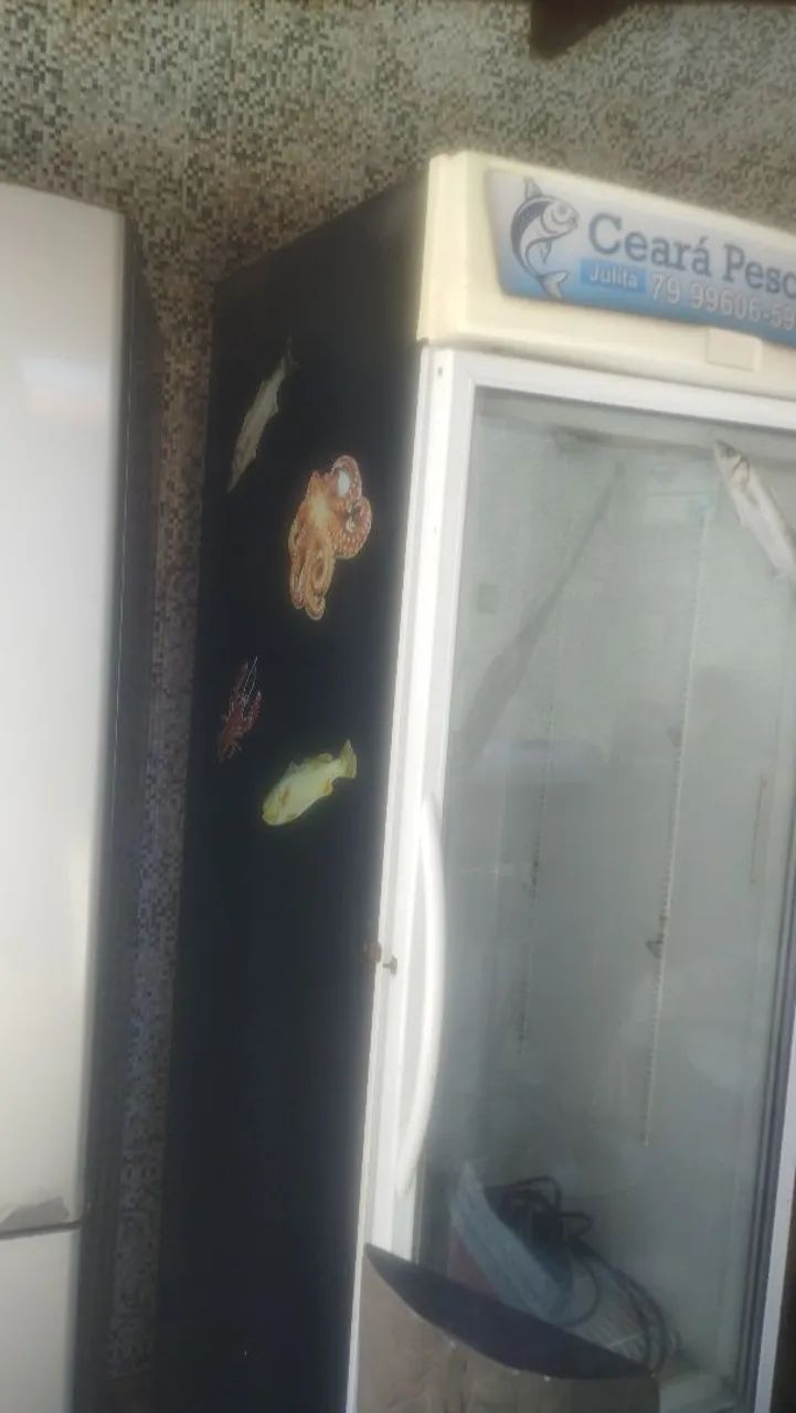 Frizer de congelamento Tampabde vidto - Foto 2