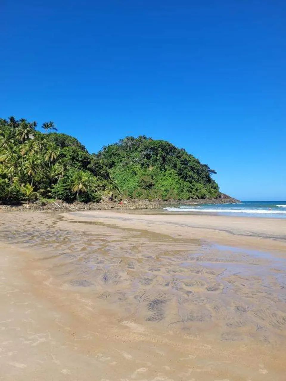 Lote á venda em Itacaré - Foto 5