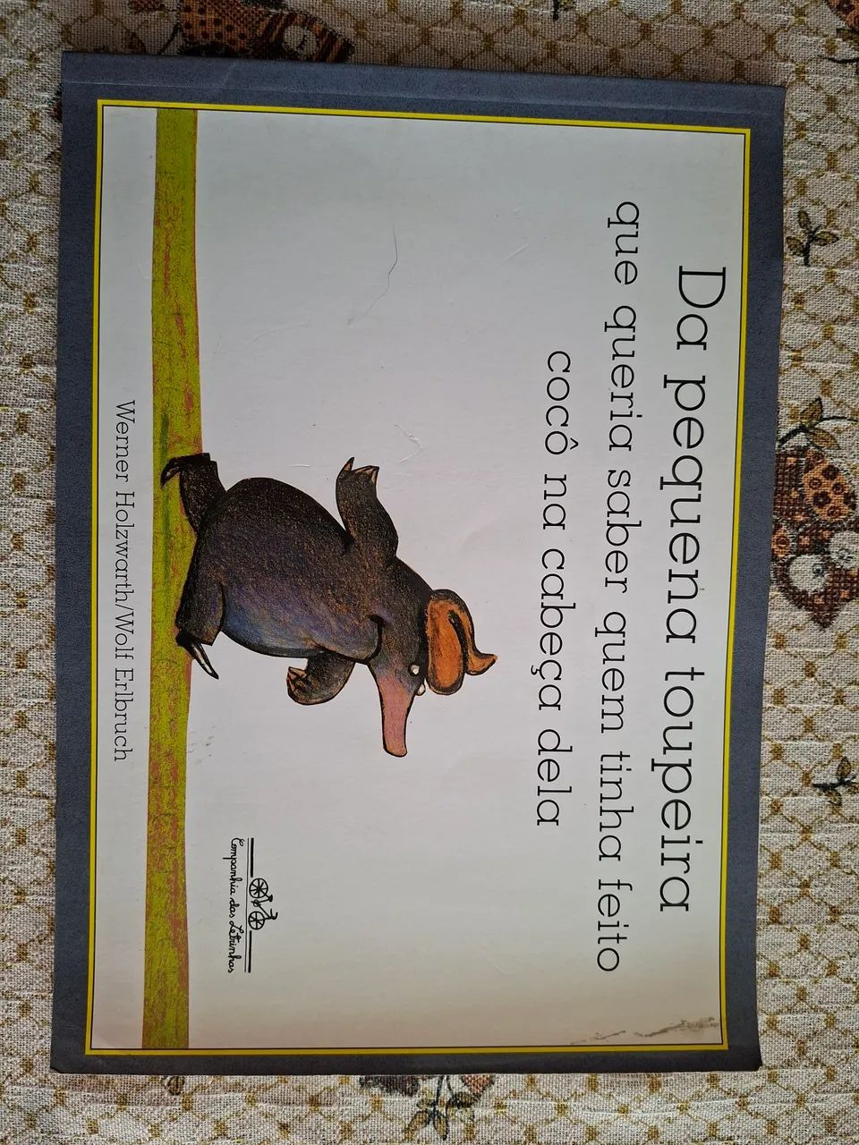 Livro infantil