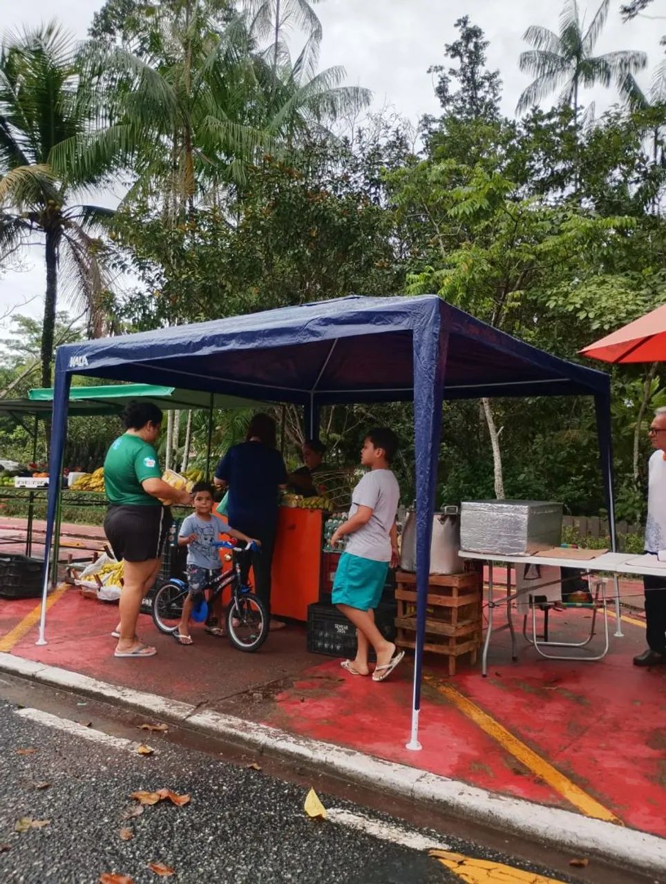 Tendas Para Eventos, Trabalho, Passeio 3x3 - Foto 3