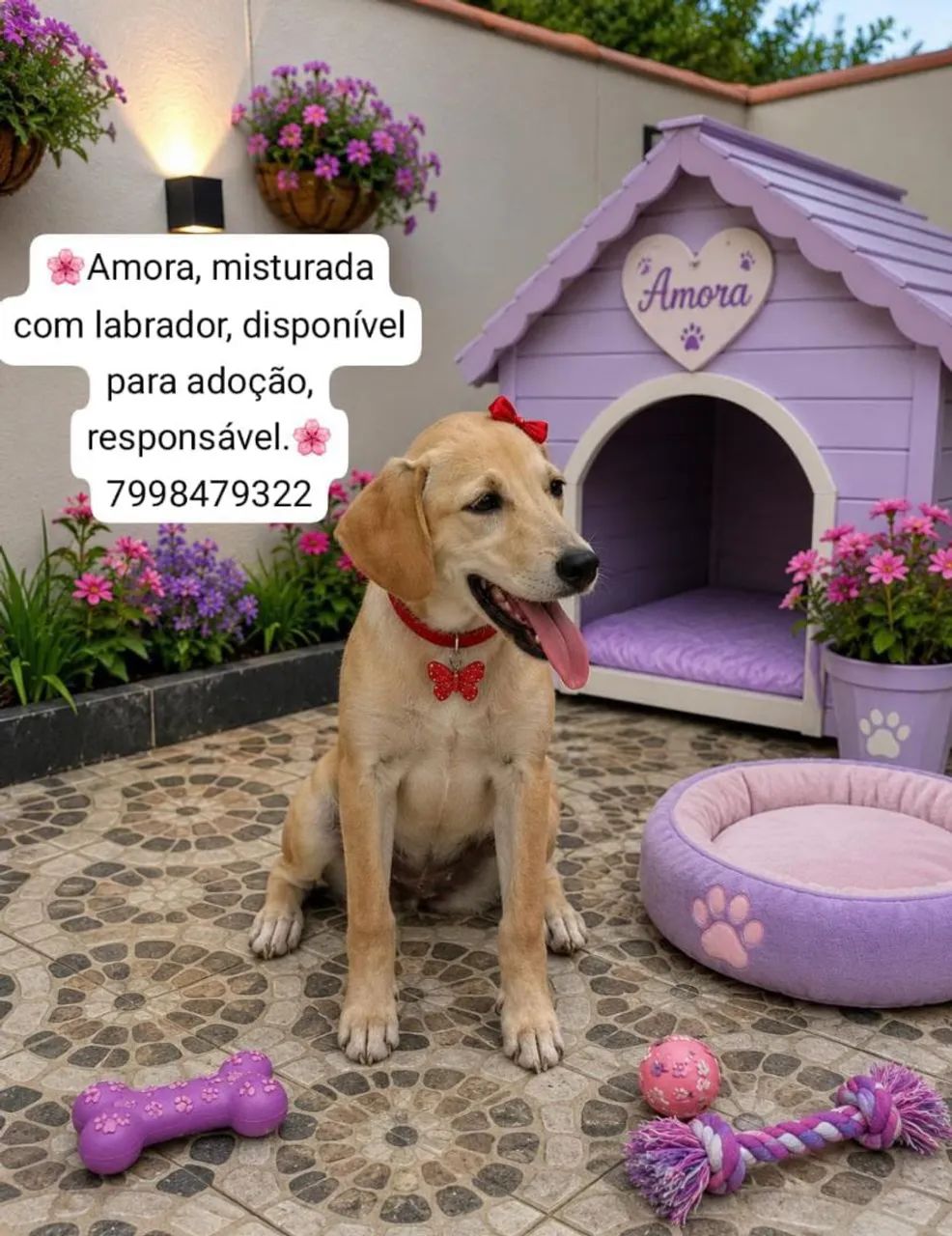 Lindas cachorras? - Foto 2