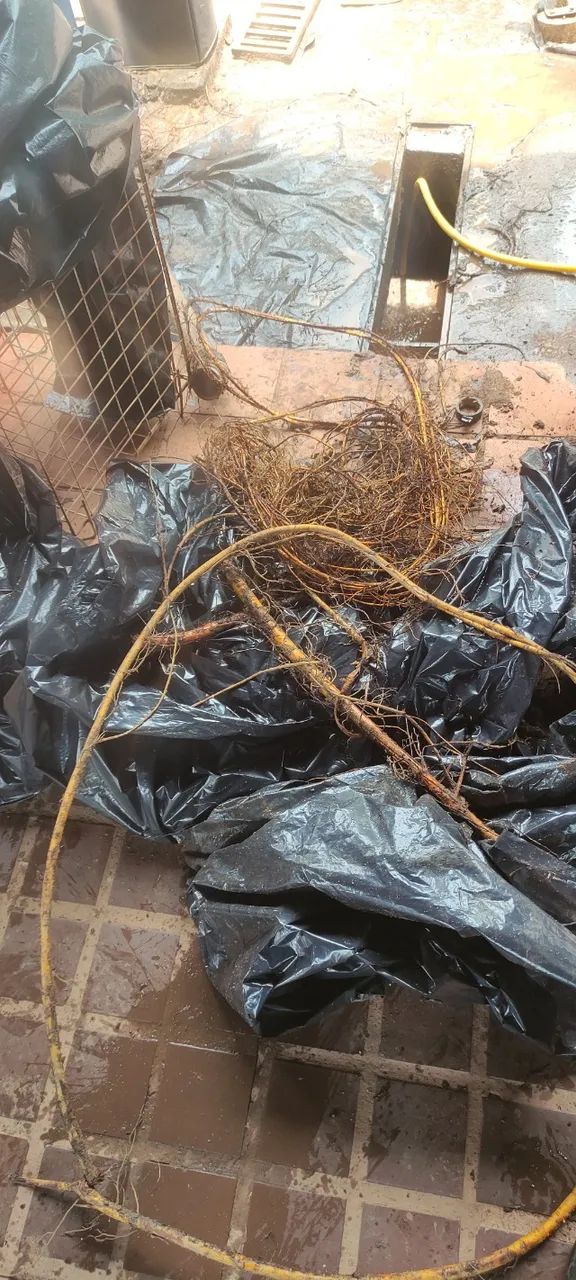 Desentupimento com Remoção de Raízes em Campinas - Foto 5
