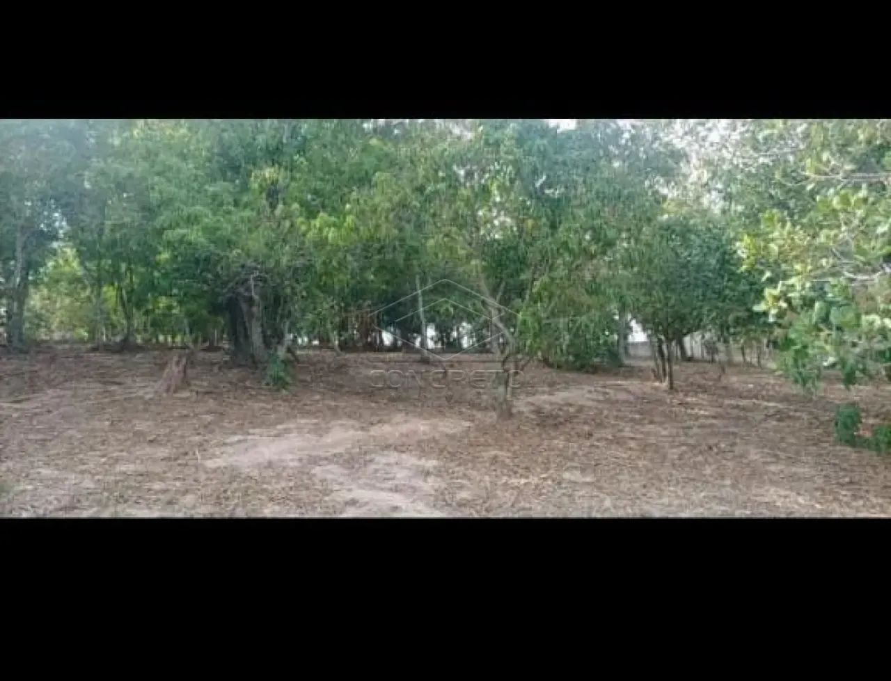 Rural ChácaraFazenda em Bofete - Foto 4